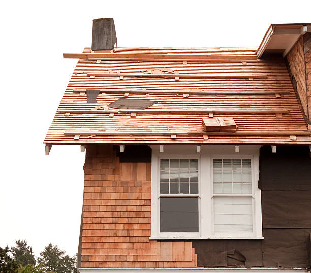 Affordable Siding Repair and Maintenance Services in Pagosa Springs, CO